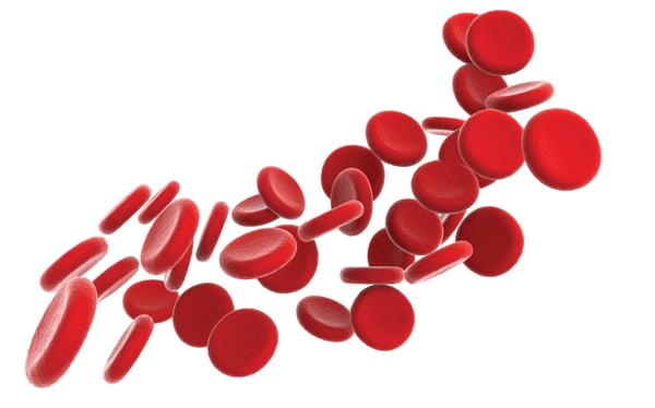 ResearchDonors_Img_BloodCells