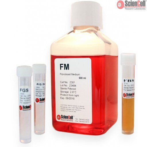 Fibroblast Media of ScienCell