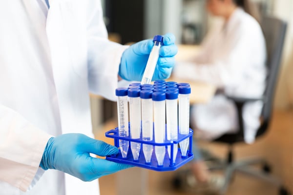 Minicircle Cloning Services