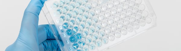 What are antibodies?