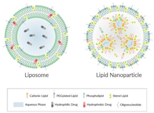 Lipid Based Nano Drug Delivery Cayman Chemical