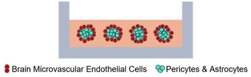 ScienCell 