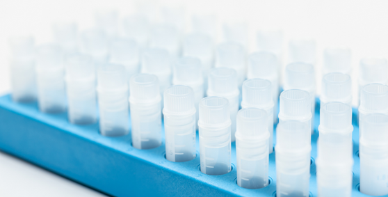 CRISPR/Cas9 gRNA and Donor cloning