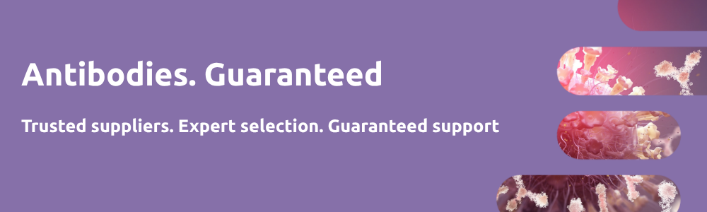 Website banner 3
