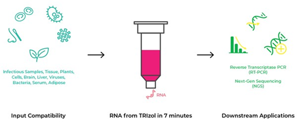 rna-purification-direct-zol-workflow.jpg
