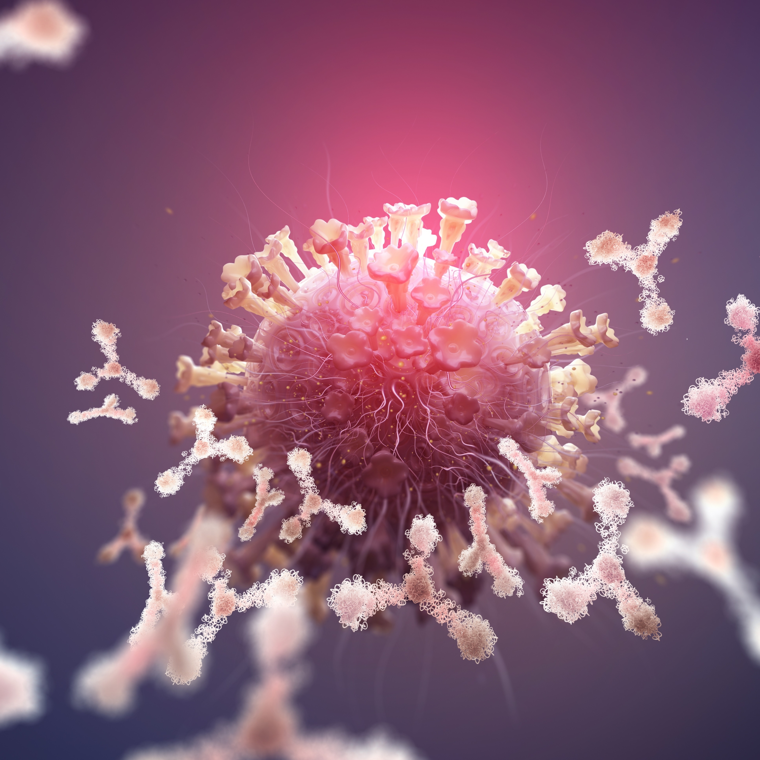 Sanbio Introduces Antibody Promise