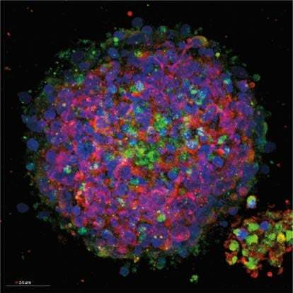 Reducing matrix variability in 3D cell culture