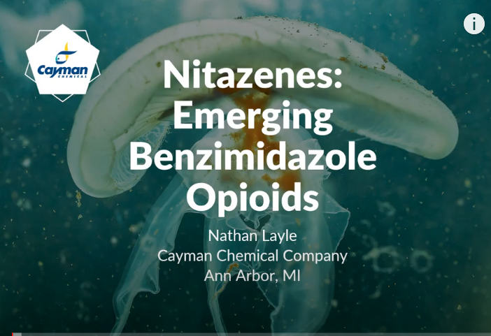 Nitazenes webinar