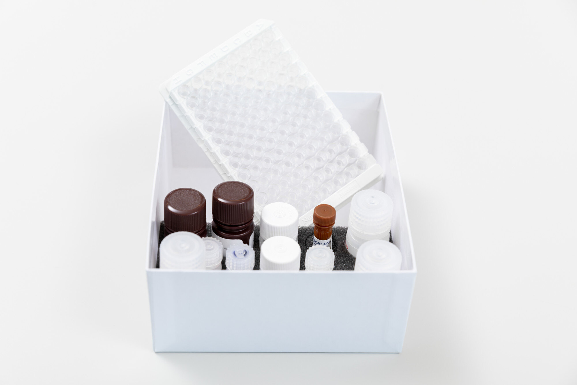 Organoid Culture