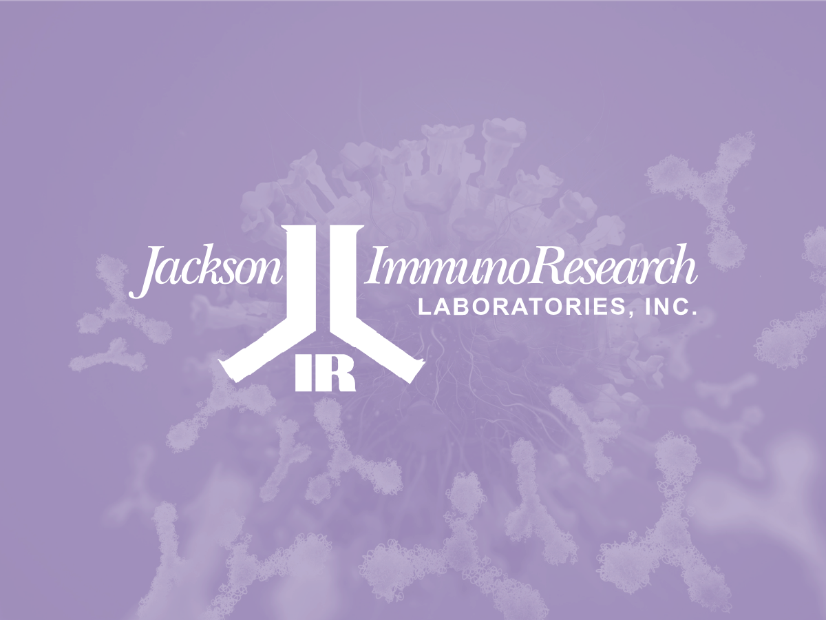 Choosing the right antibody format for your research