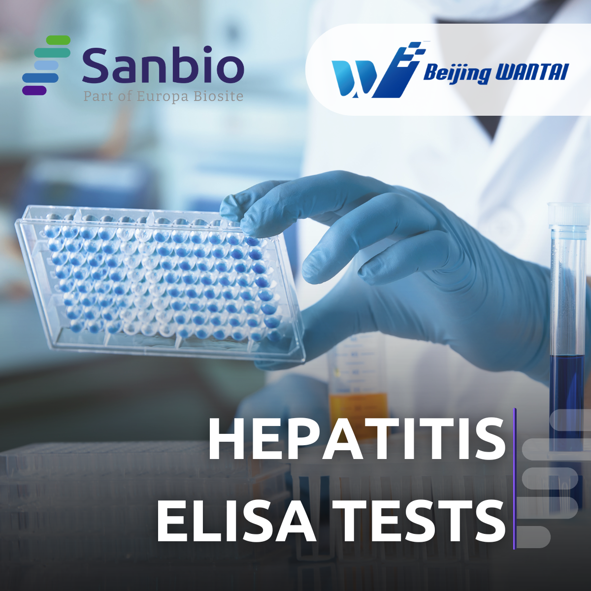 What Are the Different Types of Hepatitis Viruses and Their Impacts?