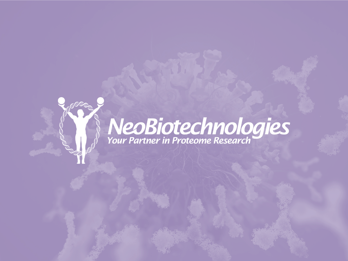 Antibody Validation Guide: why verification matters before you trust your results