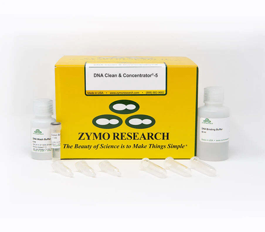 Why DNA purity is essential for downstream success