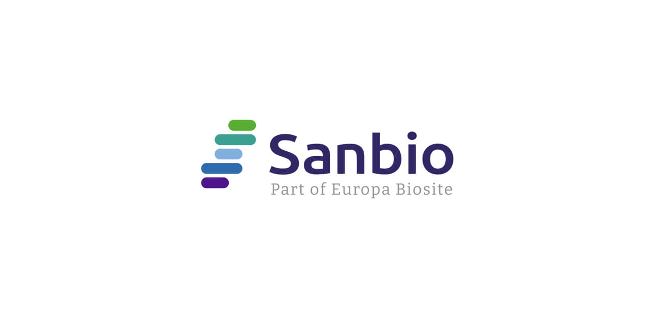 Custom antibody production